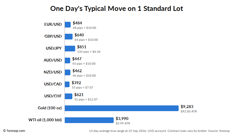 Figure 5: A typical day's move on 1 standard lot, by instrument (USD account)